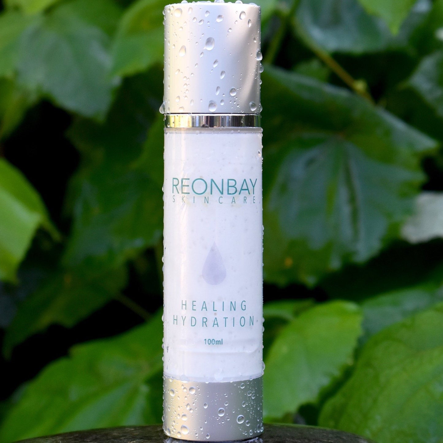 Healing Hydration Facial Lotion