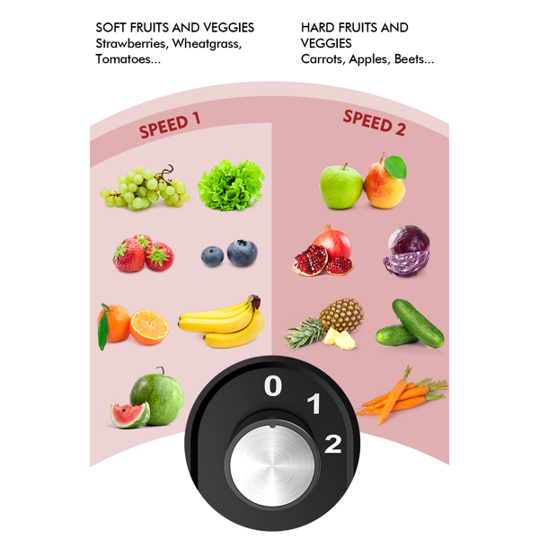2 Speeds 400W Centrifugal Juicer Extractor with Wide Mouth